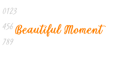 Beautiful Moment
