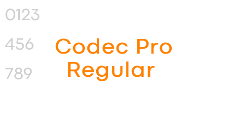 Codec Pro Regular