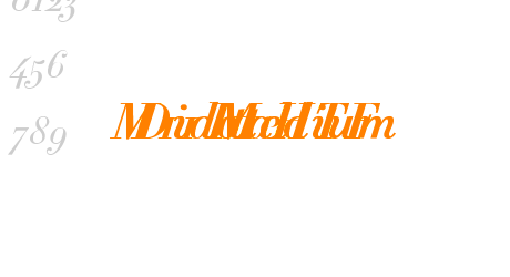 Didot HTF M11 Medium Ital