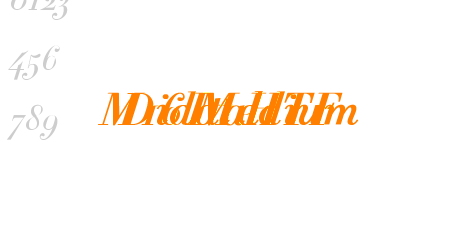Didot HTF M16 Medium Ital