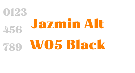 Jazmin Alt W05 Black