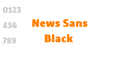 News Sans Black