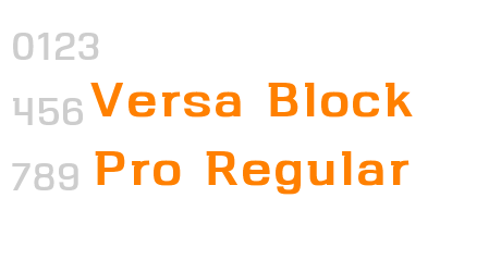 Versa Block Pro Regular