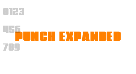 Punch Expanded