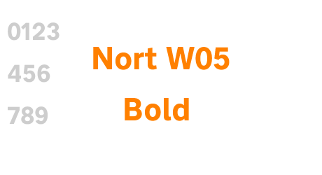 Nort W05 Bold