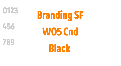 Branding SF W05 Cnd Black