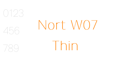 Nort W07 Thin