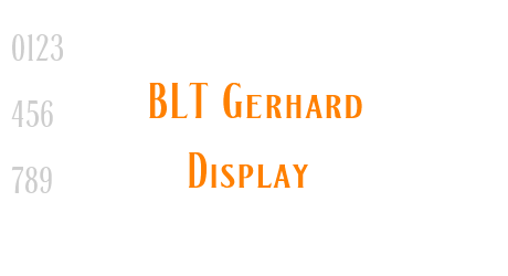 BLT Gerhard Display
