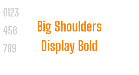Big Shoulders Display Bold