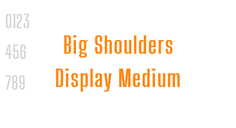 Big Shoulders Display Medium