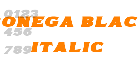 Bonega Black Italic