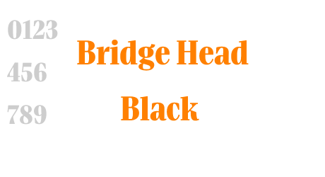 Bridge Head Black