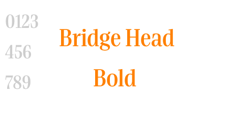 Bridge Head Bold