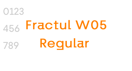 Fractul W05 Black