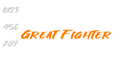 Great Fighter