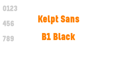 Kelpt Sans B1 Black