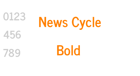 News Cycle Bold
