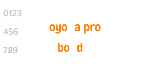loyola pro bold