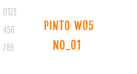 Pinto W05 NO_01