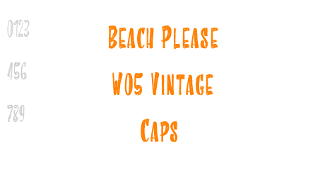 Beach Please W05 Vintage Caps