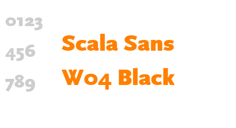 Scala Sans W04 Black