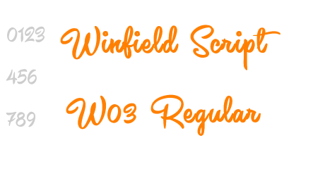 Winfield Script W03 Regular