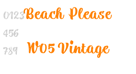 Beach Please W05 Vintage
