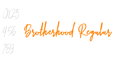 Brotherhood Regular