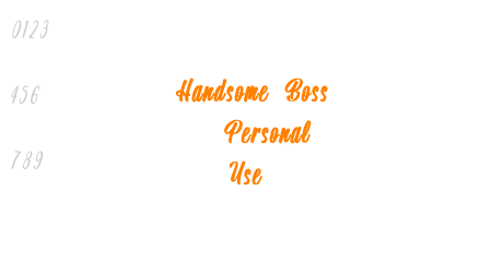 Handsome Boss – Personal Use