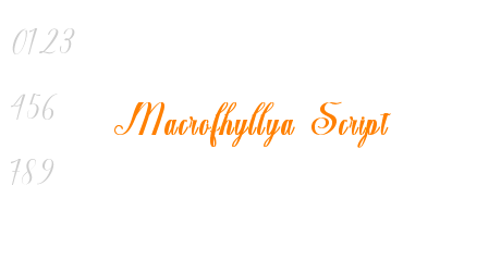 Macrofhyllya Script