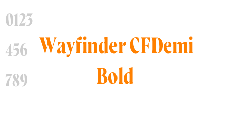 Wayfinder CFDemi Bold