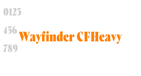 Wayfinder CFHeavy