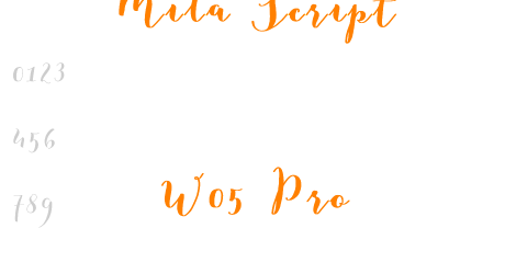 Mila Script W05 Pro