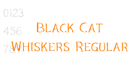 Black Cat Whiskers Regular