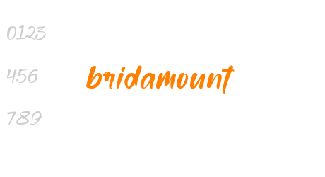bridamount