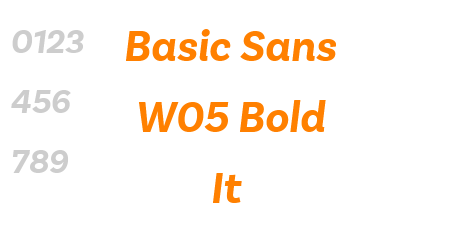 Basic Sans W05 Bold It