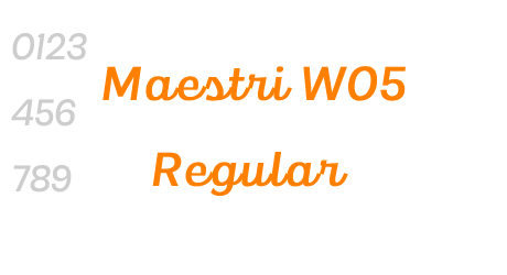 Maestri W05 Regular