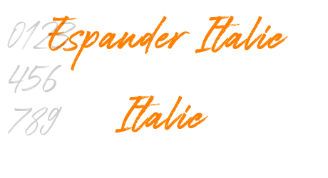 Espander Italic Italic