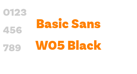 Basic Sans W05 Black
