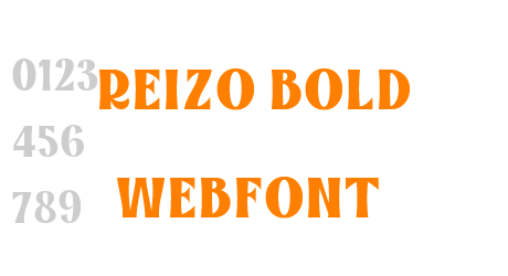 reizo bold webfont