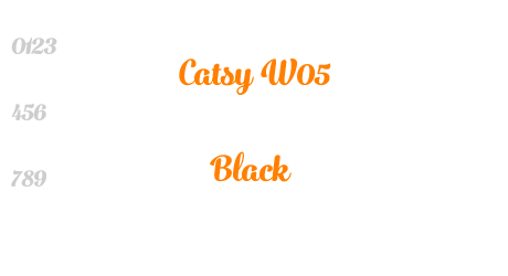 Catsy W05 Black