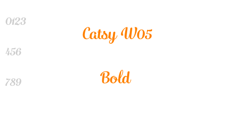 Catsy W05 Bold