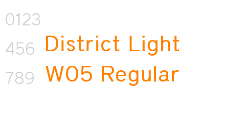 District Light W05 Regular