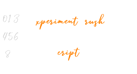 Experiment Brush Script