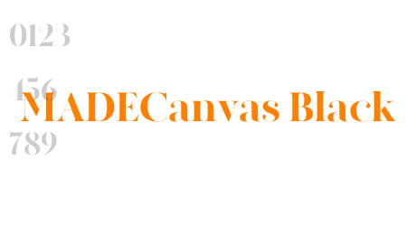 MADECanvas Black
