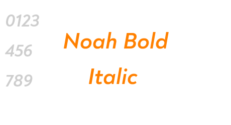 Noah Bold Italic