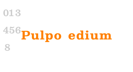 Pulpo Bold
