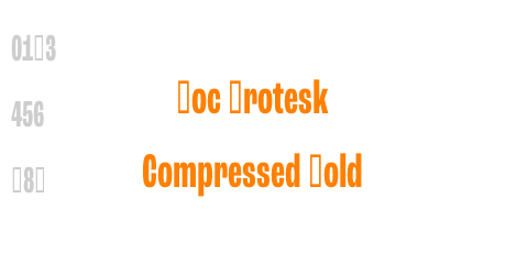 Roc Grotesk Compressed Medium