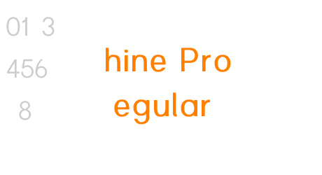 Shine Pro Bold
