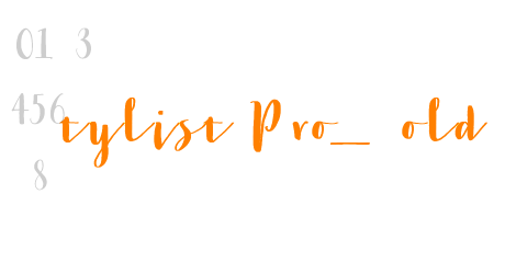 Stylist Pro_Regular